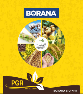 product-bg