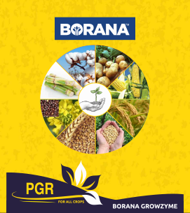 product-bg
