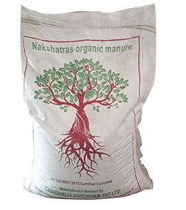 product-bg