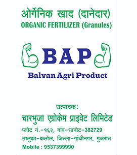 product-bg
