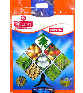 product-bg