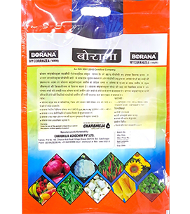 product-bg