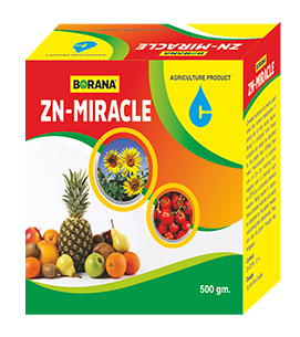 product-bg