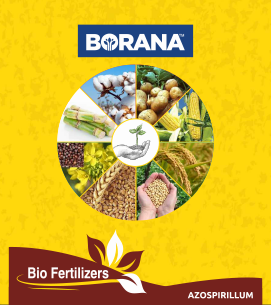 product-bg