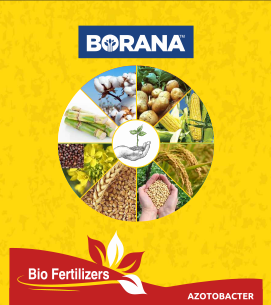product-bg