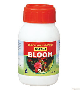 product-bg