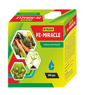 product-bg