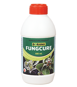product-bg