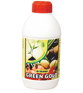 product-bg