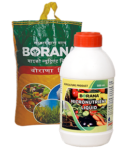 product-bg