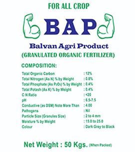 product-bg