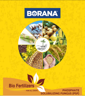 product-bg