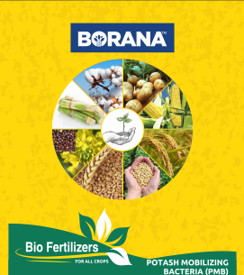 product-bg