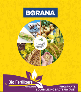 product-bg