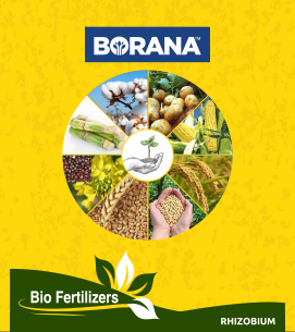 product-bg