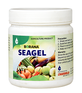 product-bg