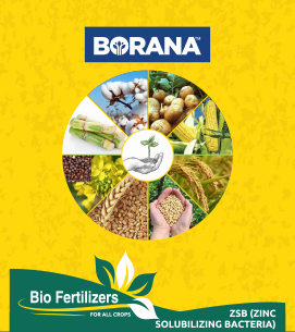 product-bg