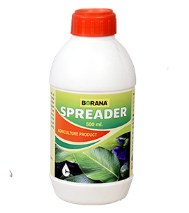 product-bg
