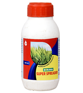 product-bg