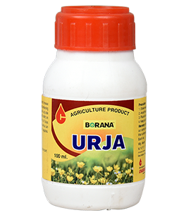 product-bg